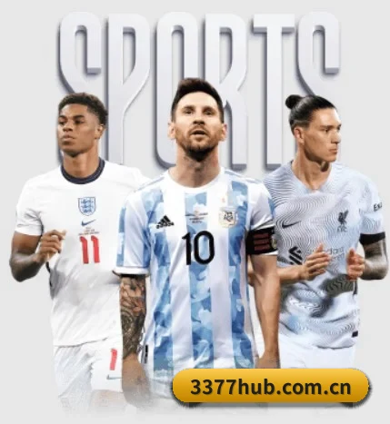 3377体育 APP